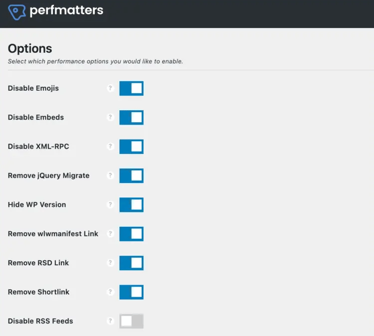 Opciones del plugin de rendimiento de WordPress Perfmatters