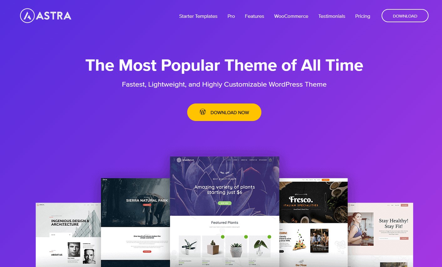 Fast WordPress theme Astra