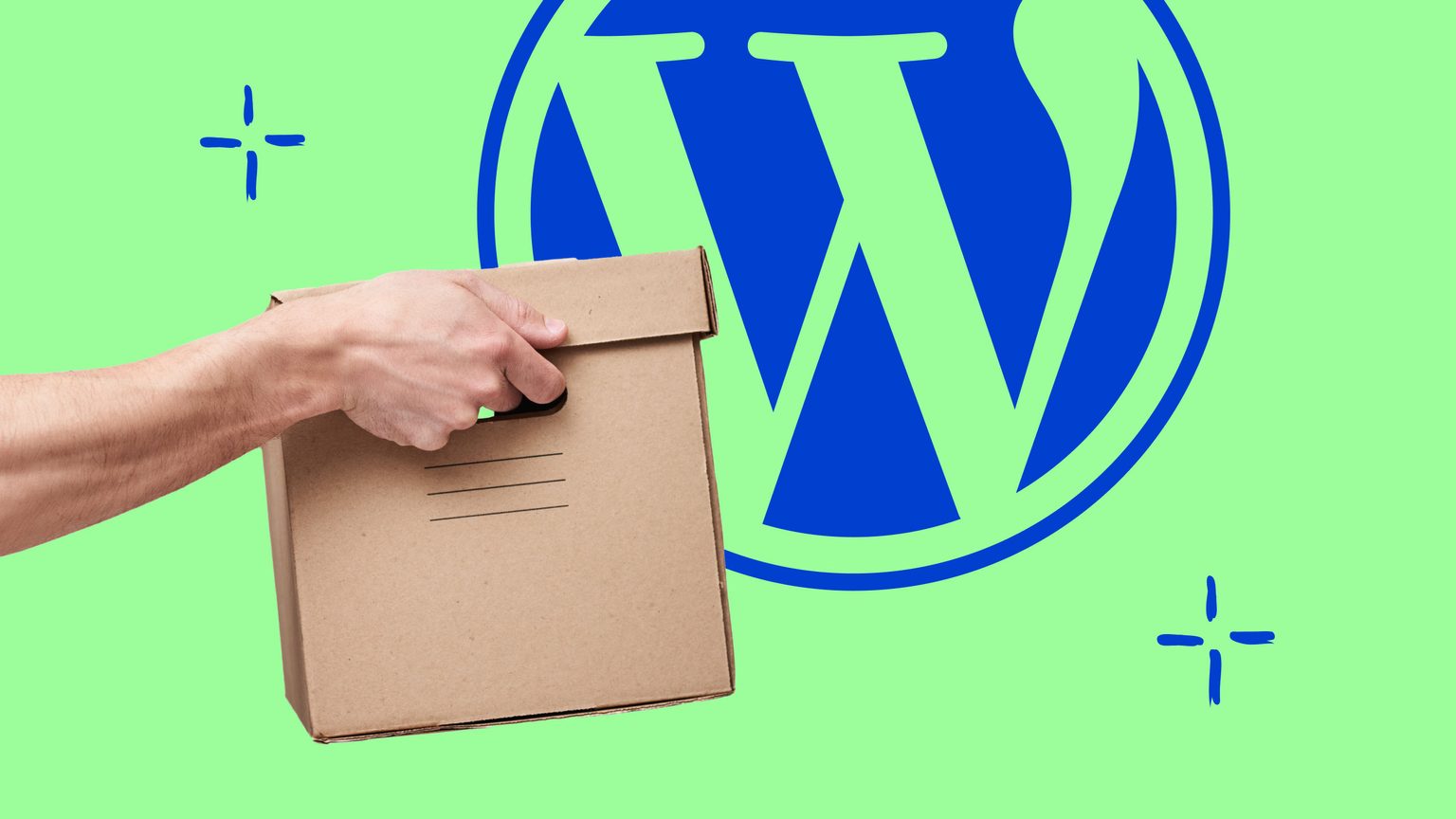 Move Jimdo website to WordPress » raidboxes®