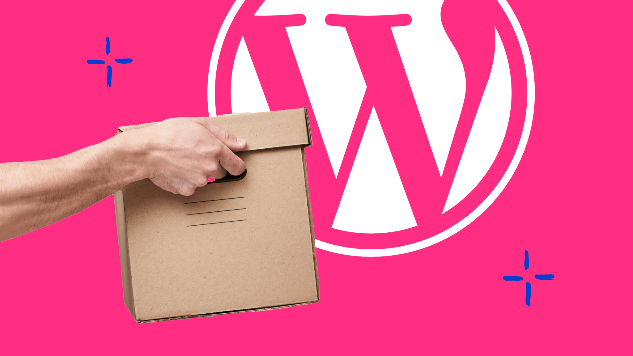 Squarespace Zu WordPress Umziehen So Geht s Raidboxes squarespace-zu-wordpress-umziehen-so-geht-s-raidboxes