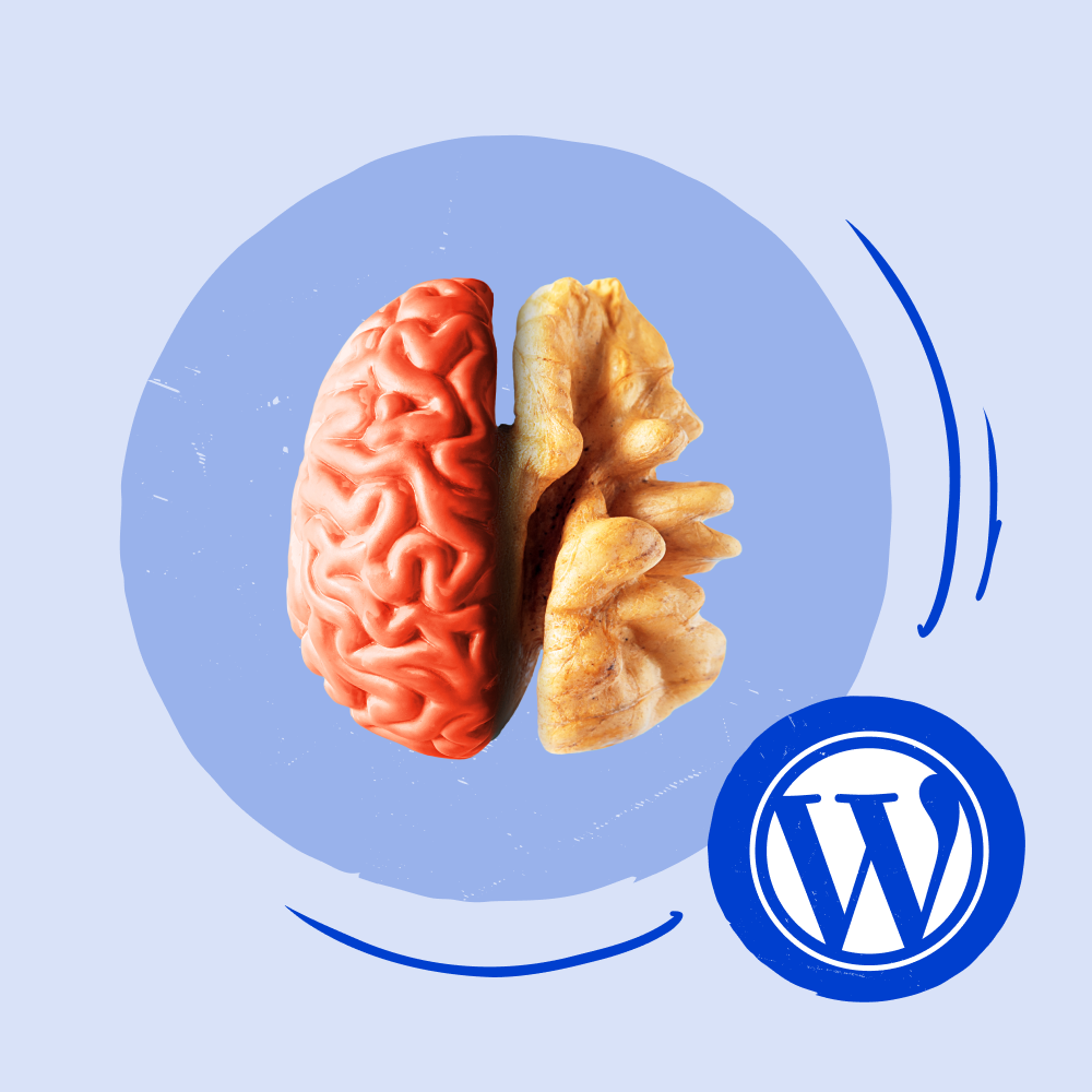 Software SEO AI e WordPress